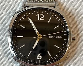 skagen watche