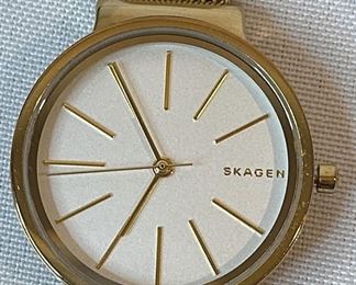 skagen watch