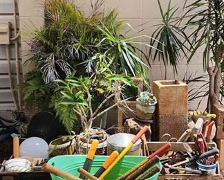 MMS070 - Potted Plants