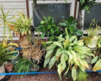 MMS079 Mystery Glassware Lot