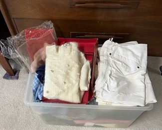 MMS248- Mystery Womens Clothing Lot 