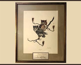 Ray Harm Signed Owl Print