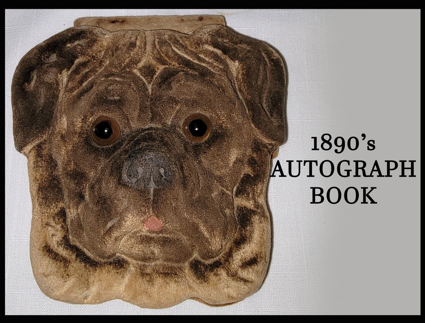 1890's Plush Bulldog Autograph Book in Almost Mint Condition with a few autographs. Pages have gold edges and this has to be one of the Best Antique Autograph Books 