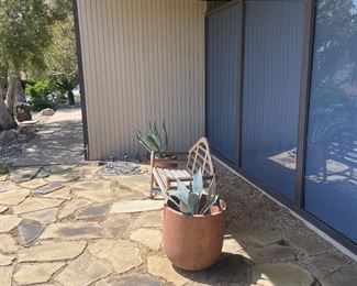...more potted plants & an iron patio bench.