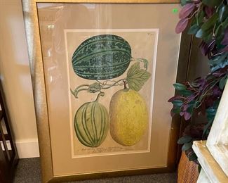 Botanical pictures $50 each