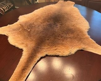 Kangaroo hides and fur pelts 
