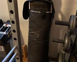 Everlast punching bag with sparring gloves