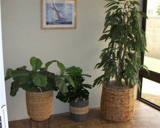 Faux Plants