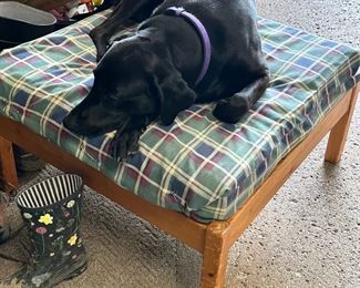 Dog bed. Dog not included.