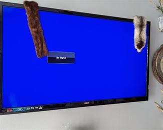 RCA 42" LED/LCD TV....ANIMAL COLLARS