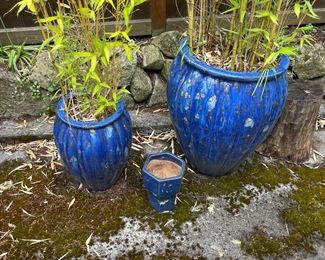$140 large blue pot with bamboo. 18"dia.  X 26"h. $80 small matching pot with bamboo 11"dia. x 18"h. Empty pot available for in person purchase.