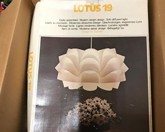 Lotus 19 Soft diffused light