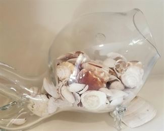 medium size  glass fish