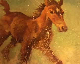 Great vintage Hatteras storybook