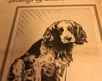 Wonderful illustrations 