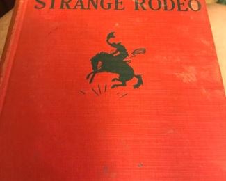 Another vintage boys book