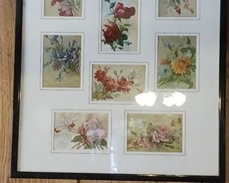 Framed antique floral postcards