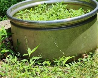 Very large stainless steel drum planter.