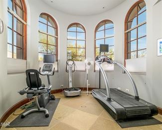 gym equipment by Woodway, Powercore,  Precore and more.