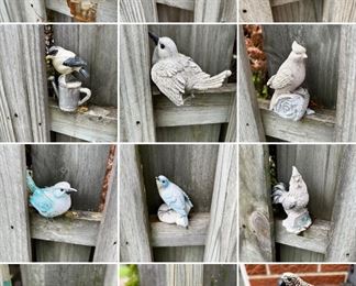 Bird collection for your garden