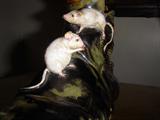 A RARE GERMAN W.S SCHILLER CO MAJOLIA SHOE WITH MICE CRAWLING
OVER THE TOP AND SIDES.