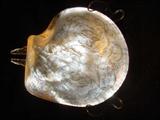 BEAUTIFUL PAIR OF VICTORIAN ENGRAVED SHELLS WITH MERMAIDS AND
MYTHOLOGICAL CREATURES.