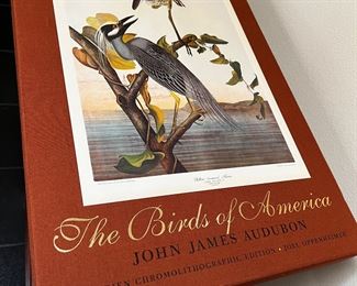 Audubon oversized book 