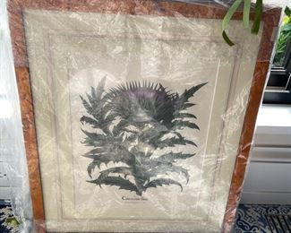 Birds Eye Maple Framed Botanicals (4)