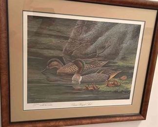 Green Winged Teal Signed By John Ruthven