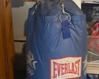 Everlast Punching Bag