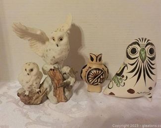 Snowy Owls Meet Two Owl friends From Mexico