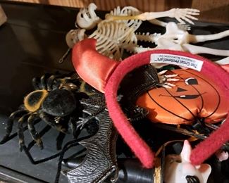 Skeletons, spiders, and more