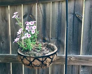 Shepard's Hook with Hanging Planter 