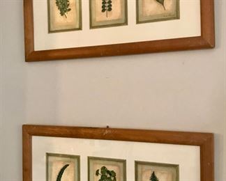 Botanical Art 