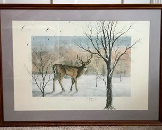 Enchanted Forest by D. Morgan 