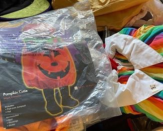 Many adult and childrens costumes 