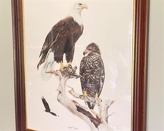 Bald Eagle print, 26"W x 31"H,  was $48, NOW $35