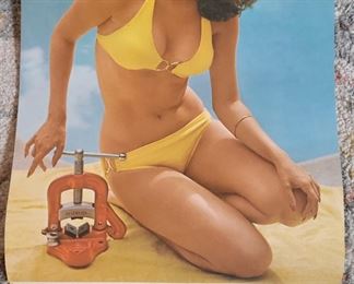 1975- 1976 swimsuit calendar 