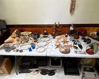 Shark jaws, sand dollars, starfish, shells
lots of nautical items