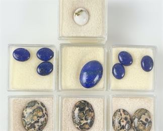 12 Lapis Lazuli, Oval & Gold, & Turritella Loose Gemstones
