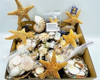 Assorted Mix Sea Shells, Start Fish, Conchas, Sea Gift Baskets
