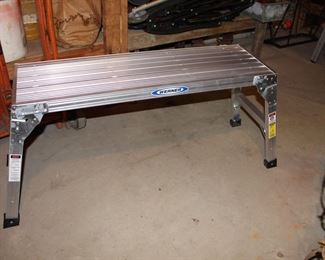 Werner platform ladder
