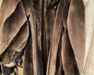 Shared beaver, knee length coat