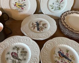 Royal Cauldon Bristol England bird plates