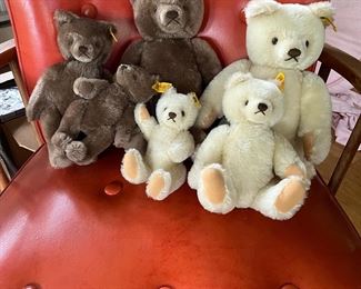 Steiff teddy bear families