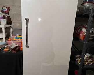 Large upright freezer