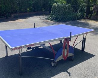 Indoor/Outdoor Ping Pong Table