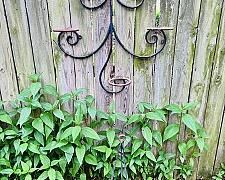 Hanging Metal Flower Pot Holders