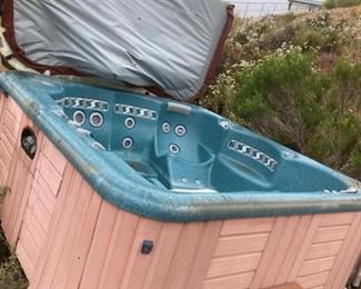 Hot Tub from Hotspring Portable Spa