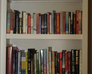 SAMPLE OF BOOKS NEWER NOVELS WITH DUST JACKETS